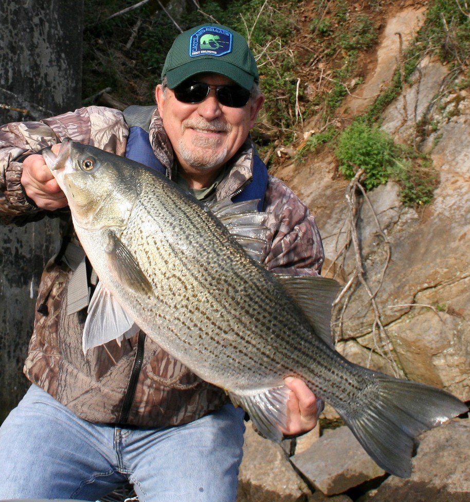 Tail-waters offer good fishing from early spring well into summer and some produce trophy stripers, hybrids, trout and others. 