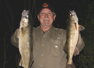 Watauga Lake walleyes